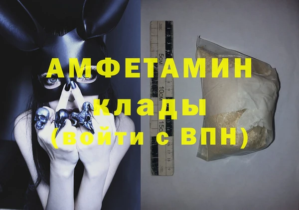 прущие грибы Ельня