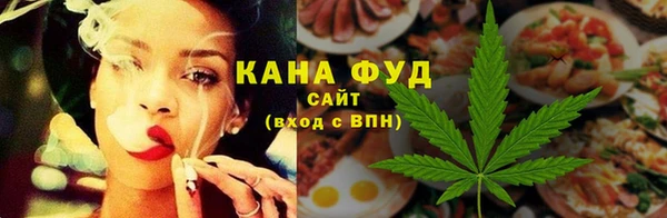 прущие грибы Ельня