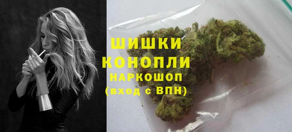 прущие грибы Ельня