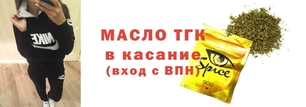 прущие грибы Ельня