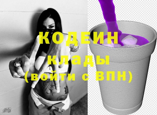 прущие грибы Ельня