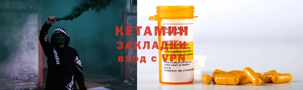 прущие грибы Ельня