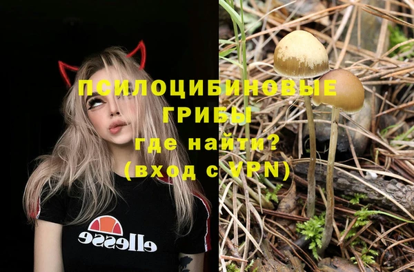 эйфоретик Елабуга