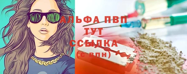 прущие грибы Ельня