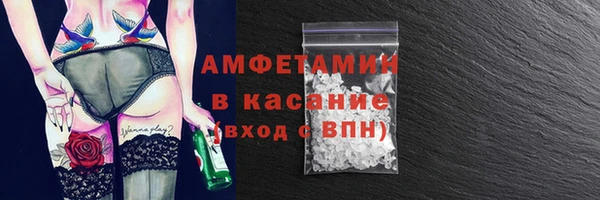 прущие грибы Ельня