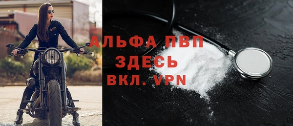 прущие грибы Ельня