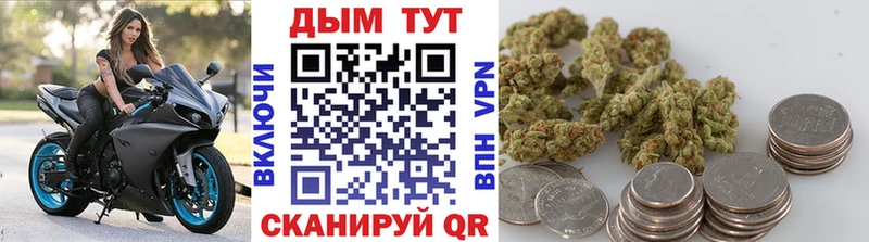 Канабис сатива Кадников